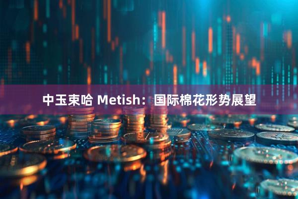 中玉束哈 Metish：国际棉花形势展望