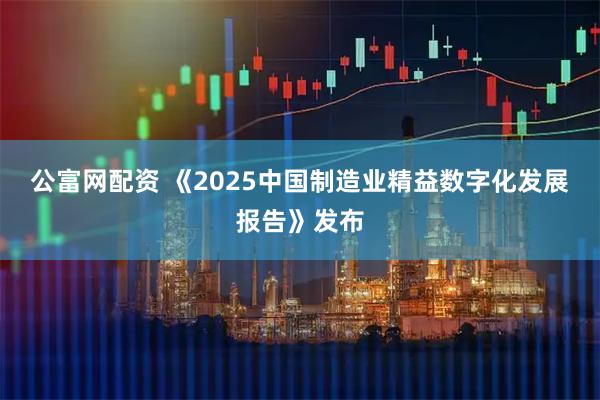 公富网配资 《2025中国制造业精益数字化发展报告》发布