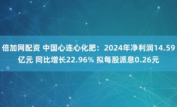 倍加网配资 中国心连心化肥：2024年净利润14.59亿元 同比增长22.96% 拟每股派息0.26元